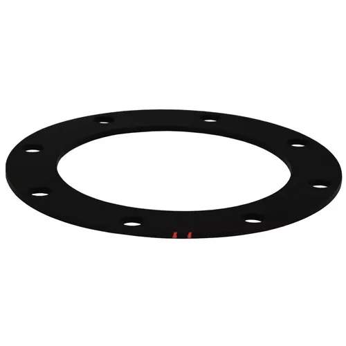 111689 - Flange Gasket