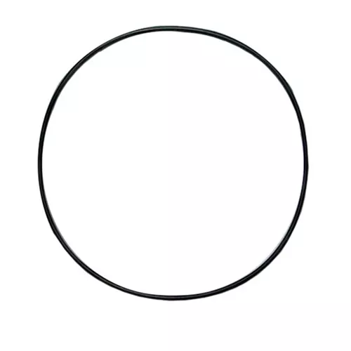11905 - O-Ring For 891 Loading Head