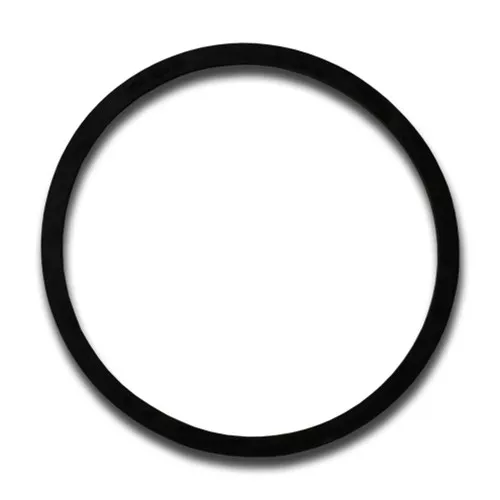 12022 - 10" Gasket, Buna-N