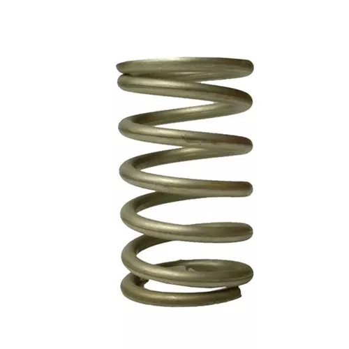 16890SS - Chemical Internal Spring 316SS