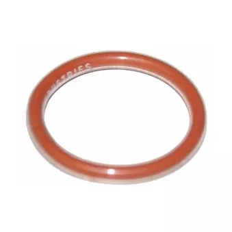 18858TS - O-Ring, Teflon Encapsulated Silicone