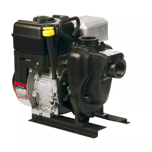 200PI6PRO - 2" Cast Iron Pump With 6.5 HP Briggs & Stratton Engine Pro Series