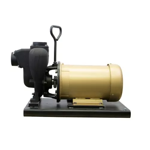 234PIE5 - 2" Cast Iron Pump With 5.0 HP Three Phase Electric Motor