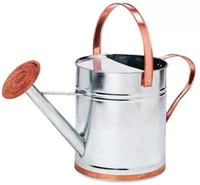 2gcwc 2 Gallon Galvanized Steel Watering Can For Efficient Watering