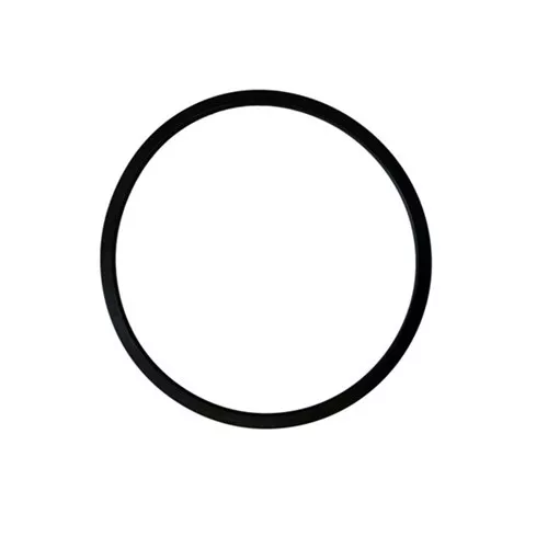3513VT - 20"Betts Full Open Manhole Gasket Viton