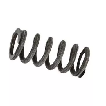 3880SL - SPRING SS PAF1000 PRV 5PSI