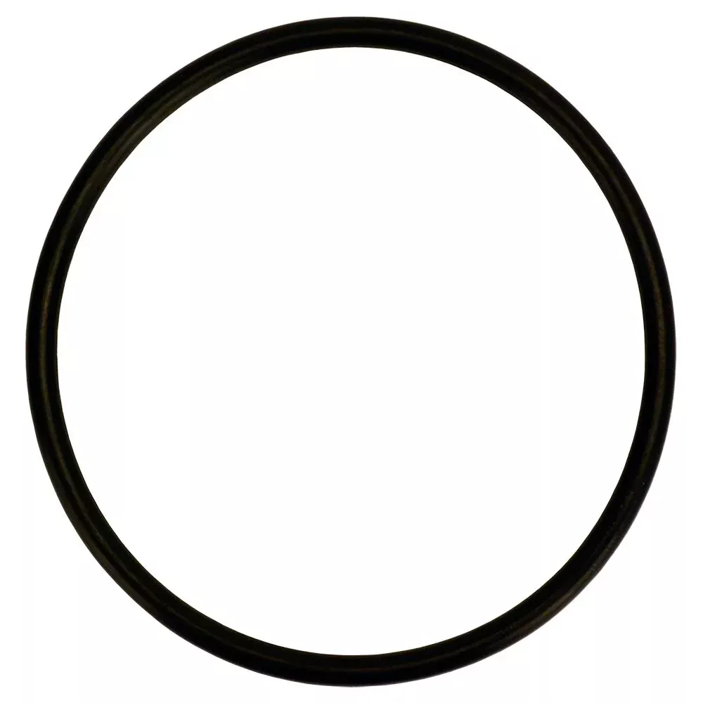 Neo-Pure Gasket for SFR Series Single Filter Ring Nut Housings
