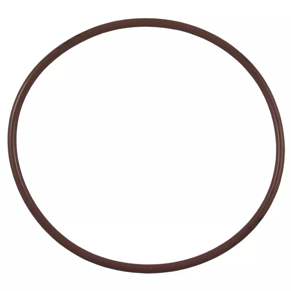 Pentek 158095 Viton O-Ring for 5", 10" and 20" Slimline Housings