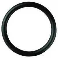 Valve O-Ring Suits Comet BP110 BP151 and BP171 Pump on the Suction Side