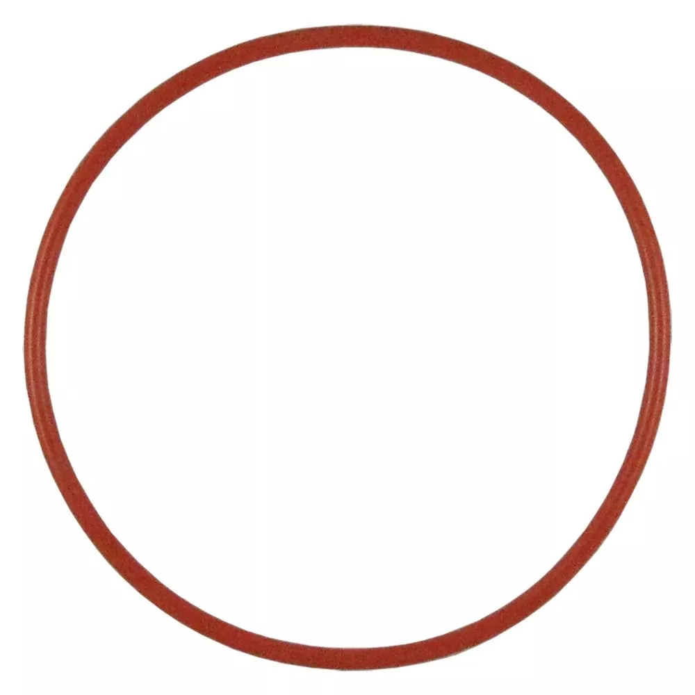 Viton O-Ring for Flowmatic Full-Flow Series 10" & 20"