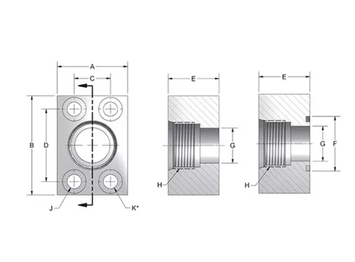 W48-08-08 |1/2" SAE/ORB Female x 1/2" O-Ring Code 62