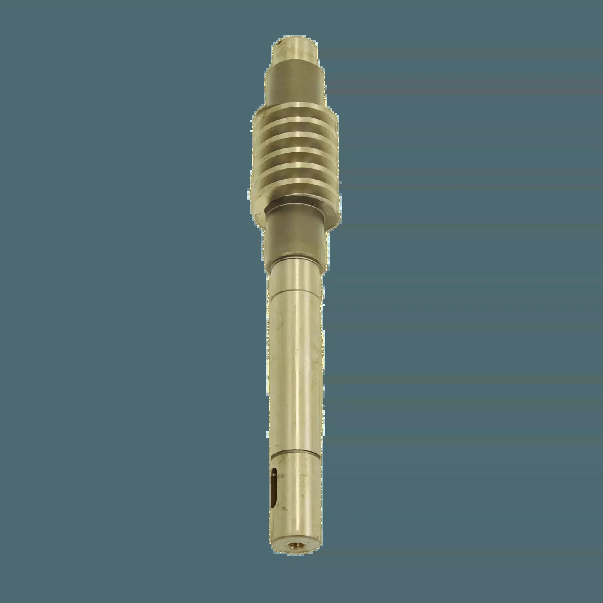 Worm Gear